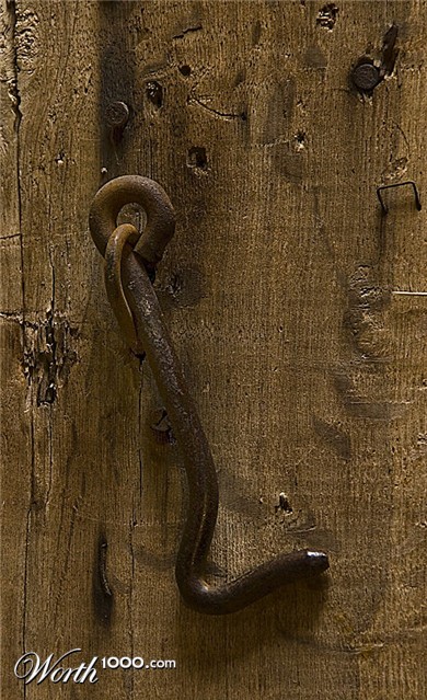 Photography by suram8456