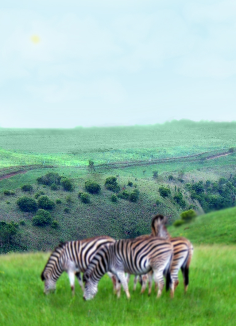 Photoshop Design by flawed81 for DesignCrowd (Community Contests) | Design #8942786