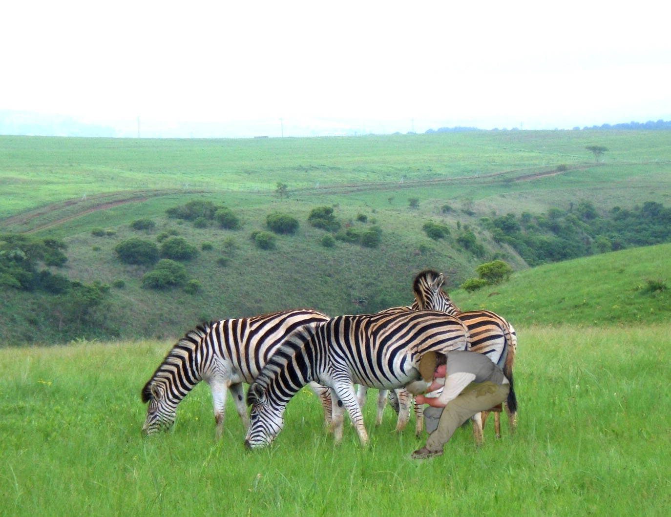 Photoshop Design by frank1956 for DesignCrowd (Community Contests) | Design #8942800