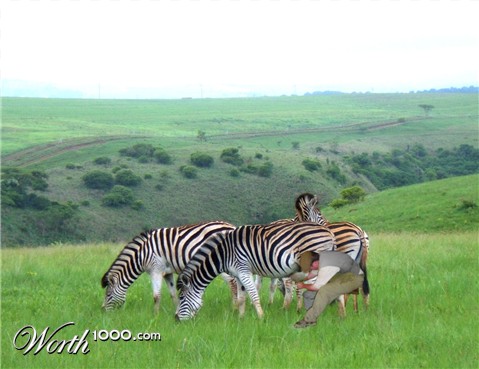 Photoshop Design by frank1956