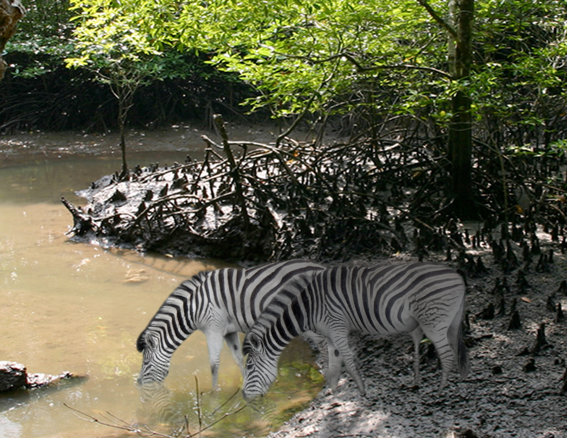 Photoshop-Design von justaskdesigns für DesignCrowd (Community Contests) | Design #8942824