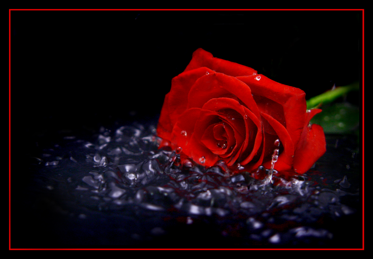 Fotografie von sodigece für DesignCrowd (Community Contests) | Design #8938460