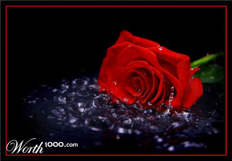 Photography by sodigece