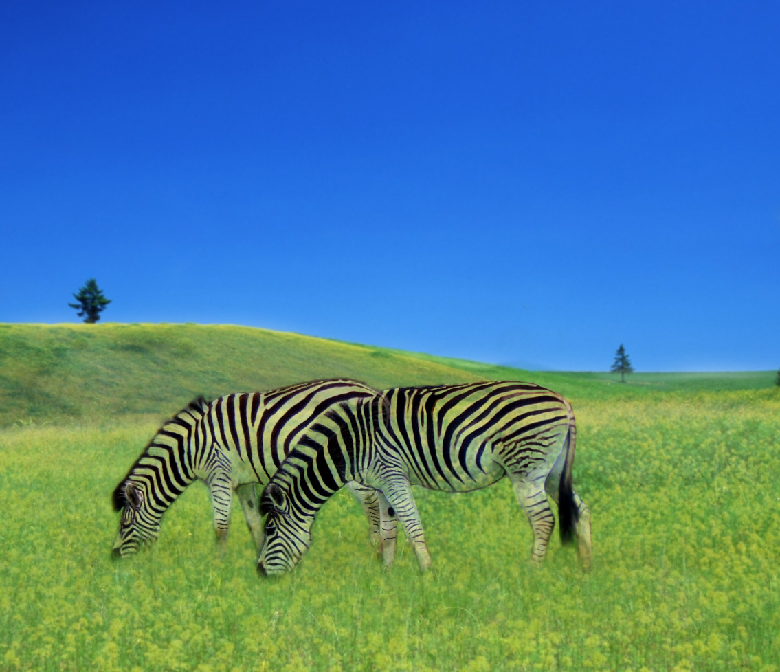 Photoshop Design by krokodile for DesignCrowd (Community Contests) | Design #8942805