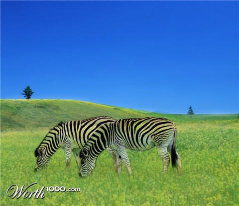 Photoshop Design by krokodile