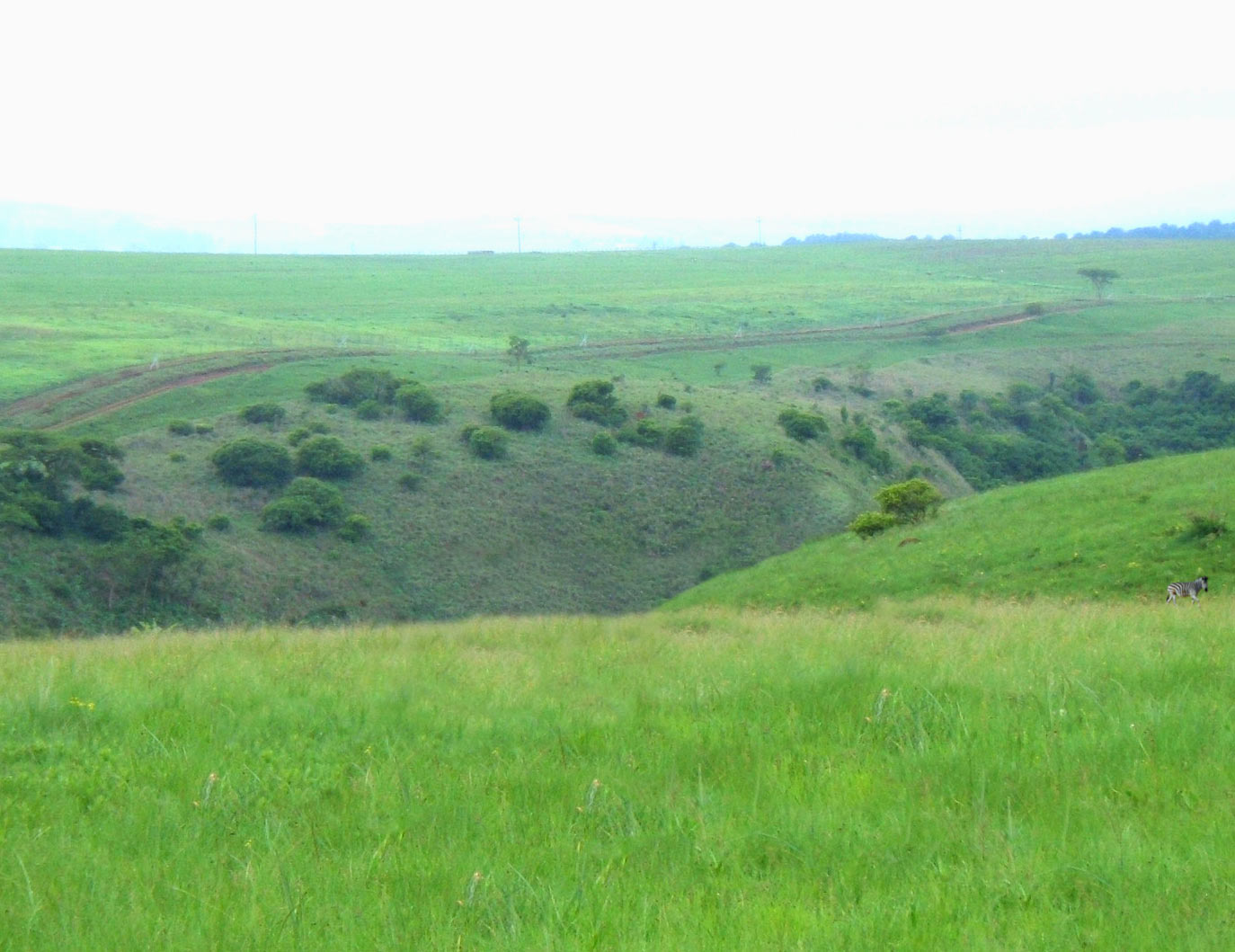 Photoshop-Design von qedhup für DesignCrowd (Community Contests) | Design #8942834