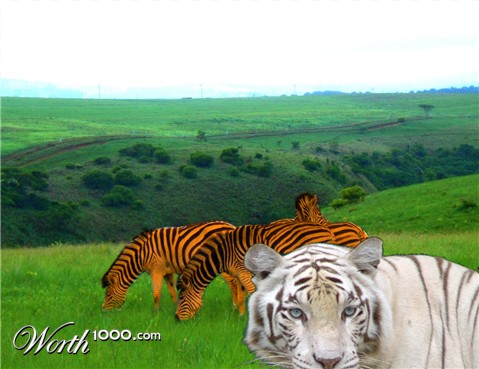 Photoshop Design by moobookie