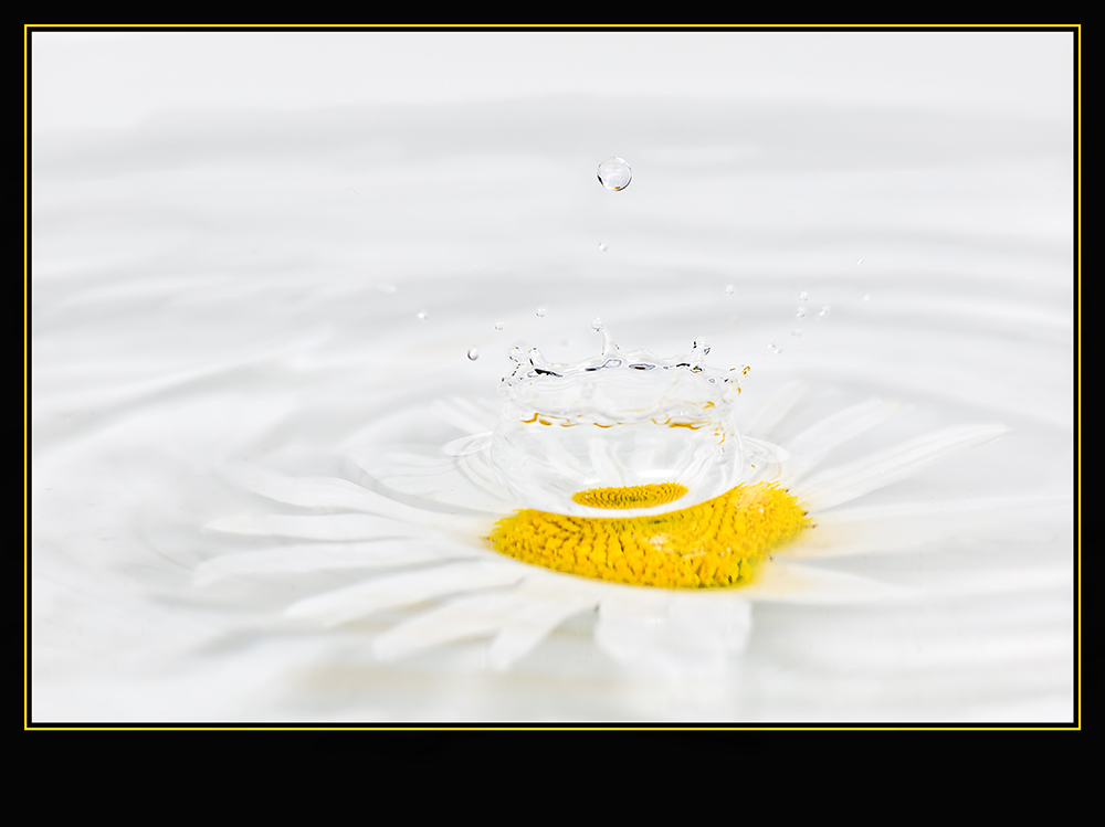 Photographie par Fishcat pour DesignCrowd (Community Contests) | Design #8938470