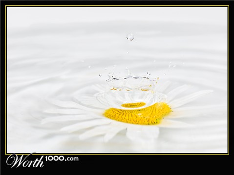 Photography by Fishcat