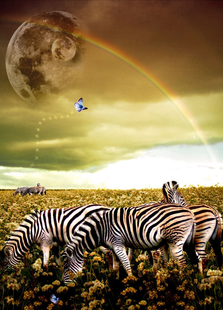 Photoshop Design by Chimmi for DesignCrowd (Community Contests) | Design #8942816