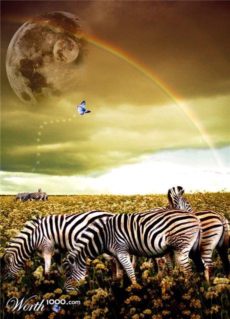 Photoshop Design by Chimmi