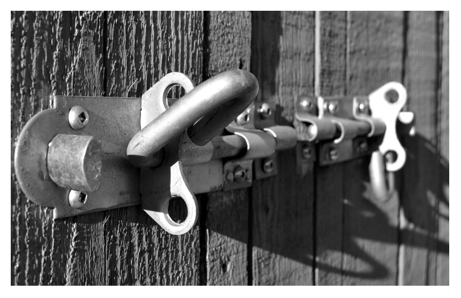 Fotografía por greenpuppet para DesignCrowd (Community Contests) | Diseño #8935293