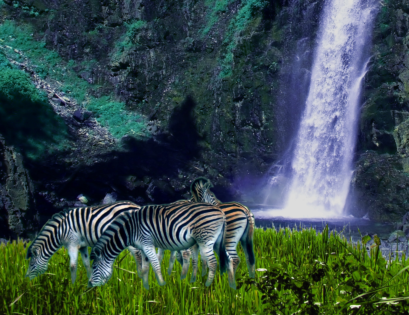 Photoshop Design by Moorf2 for DesignCrowd (Community Contests) | Design #8942905