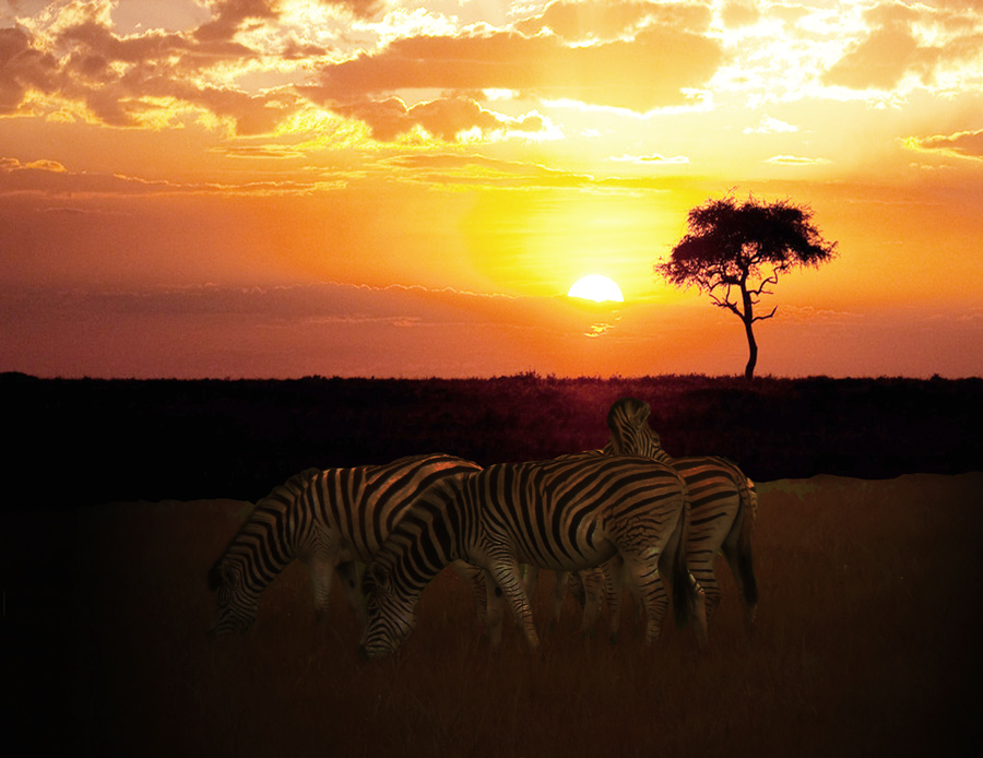 Photoshop Design by mpuppett for DesignCrowd (Community Contests) | Design #8942893