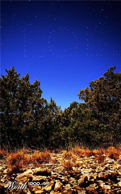 Photoshop Design by GoldenWreckedAngle