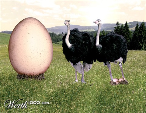 Photoshop Design by gersonboy