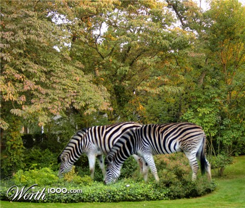 Photoshop Design by Ydiot