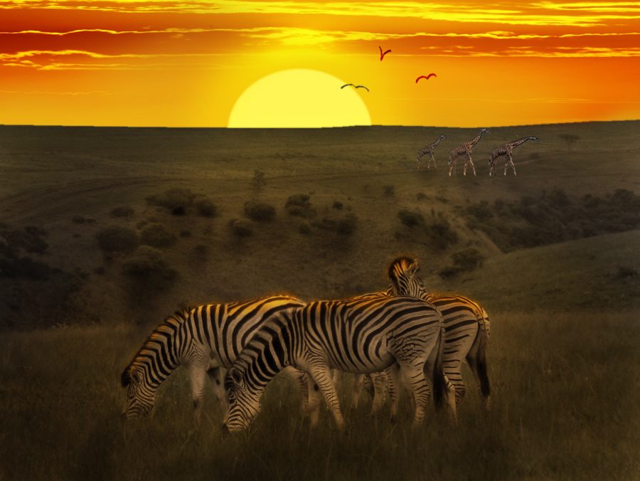 Photoshop Design by mikemuggles for DesignCrowd (Community Contests) | Design #8942853