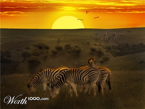 Photoshop Design by mikemuggles