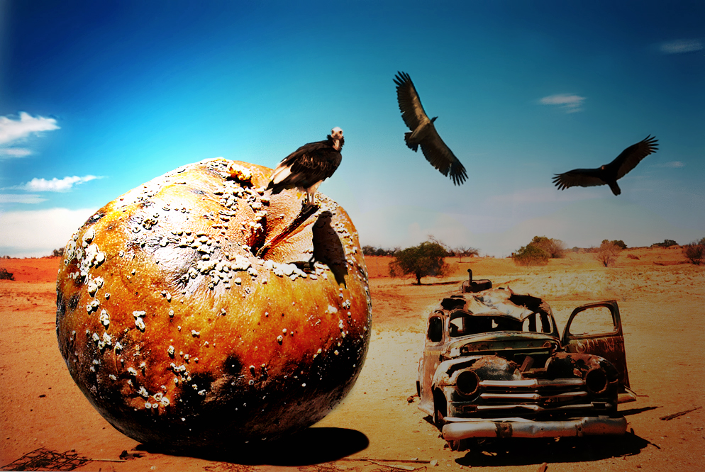 Diseño de Photoshop por deaddonkeysrule para DesignCrowd (Community Contests) | Diseño #8939672