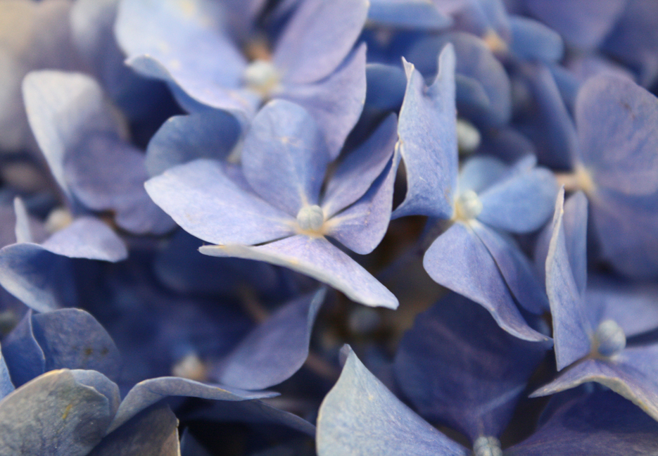 Fotografía por Eftekhar para DesignCrowd (Community Contests) | Diseño #8937646