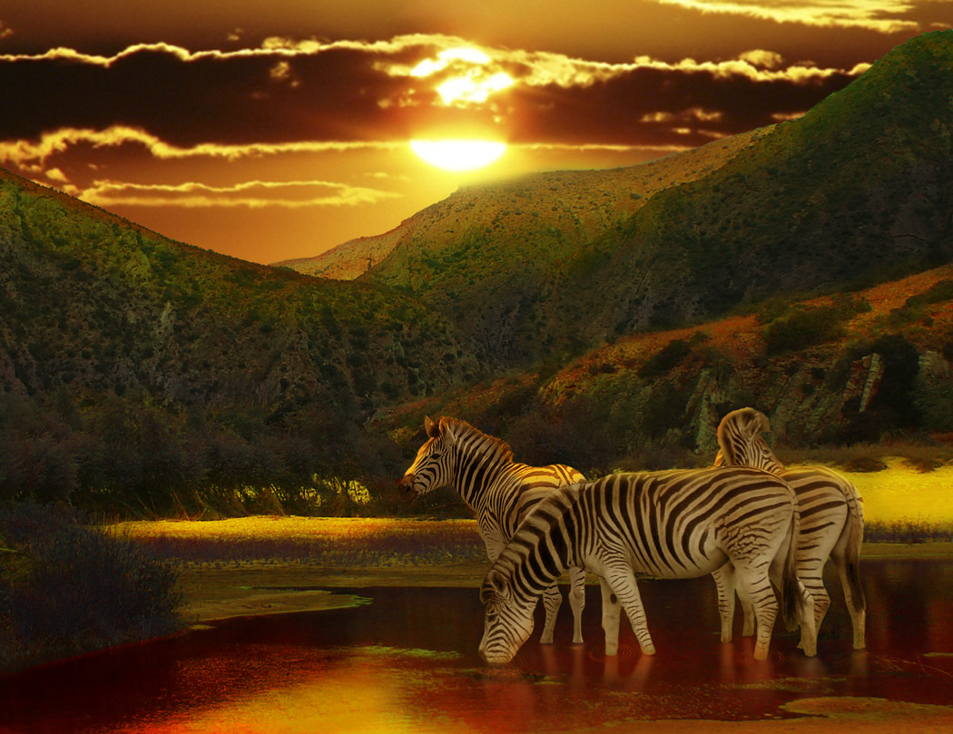 Photoshop-Design von sunny2Day für DesignCrowd (Community Contests) | Design #8942866