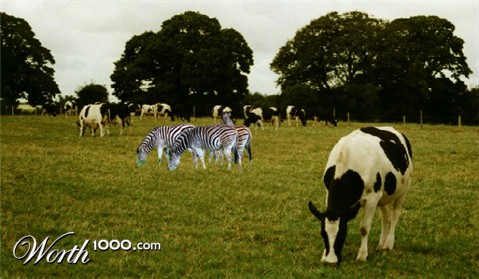 Photoshop Design by alexpickering