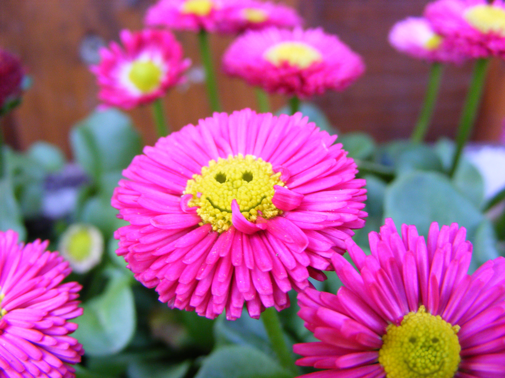 Photoshop Design by bicyclewilli for DesignCrowd (Community Contests) | Design #8940682