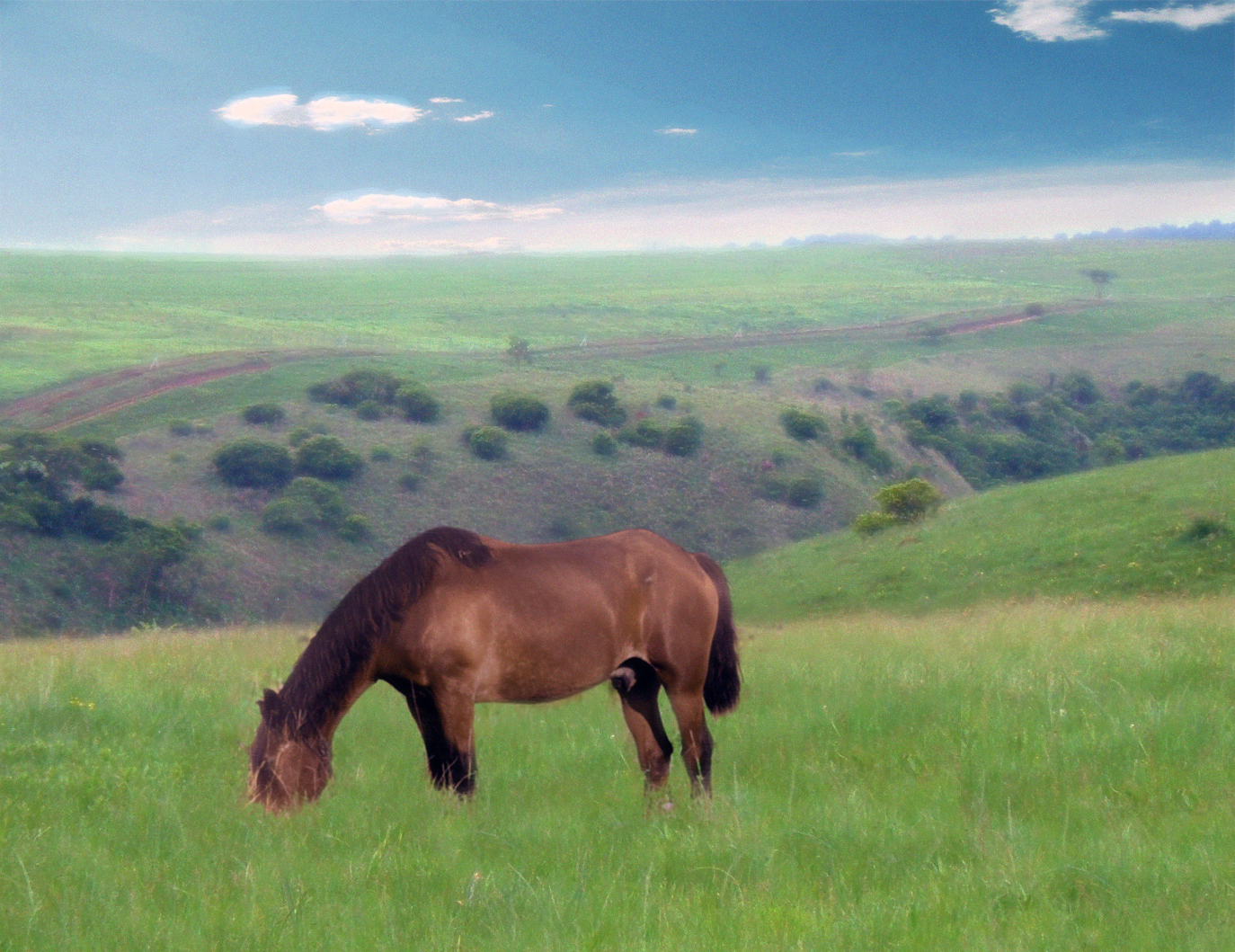 Design Photoshop par Mo0dSwing pour DesignCrowd (Community Contests) | Design #8942897