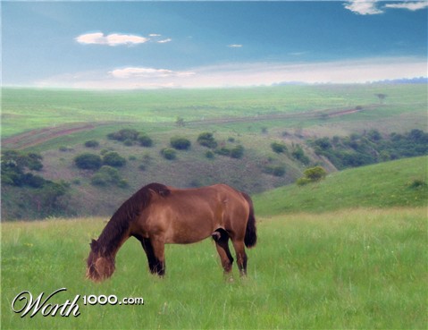 Photoshop Design by Mo0dSwing