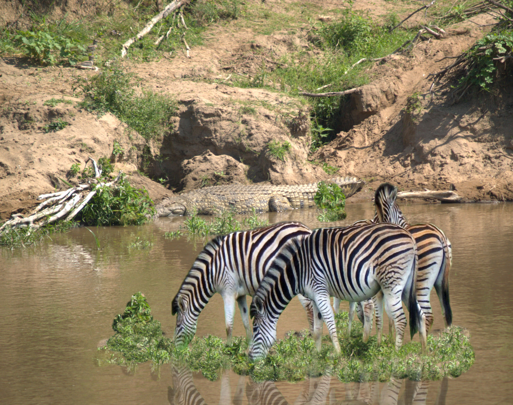 Photoshop Design by BobT55 for DesignCrowd (Community Contests) | Design #8942927