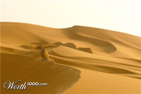 Photoshop Design by cdteleski
