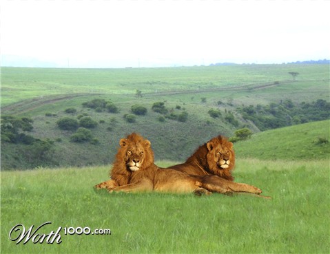 Photoshop Design by erguille