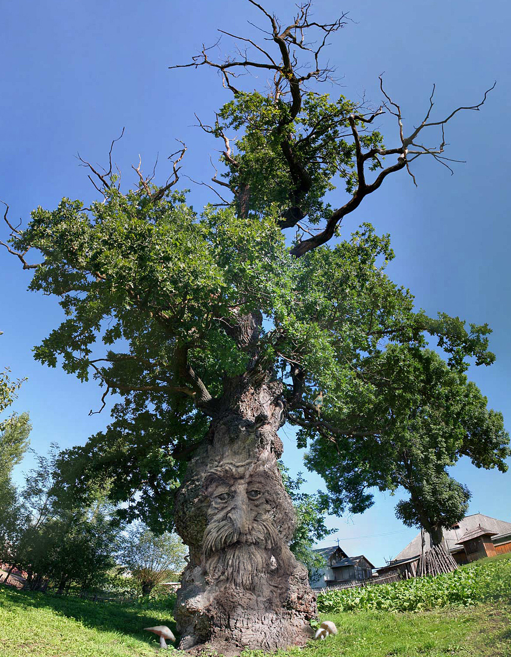 Photoshop Design by spawn00x for DesignCrowd (Community Contests) | Design #8940759