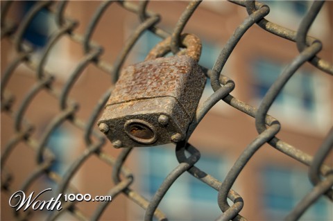 Photography by yashinator