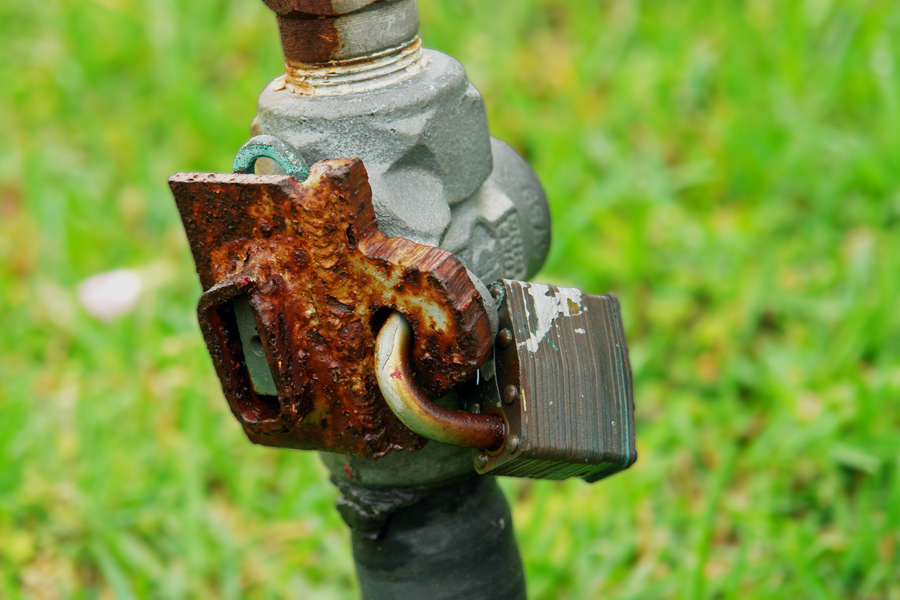 Photography by evitigre for DesignCrowd (Community Contests) | Design #8935346