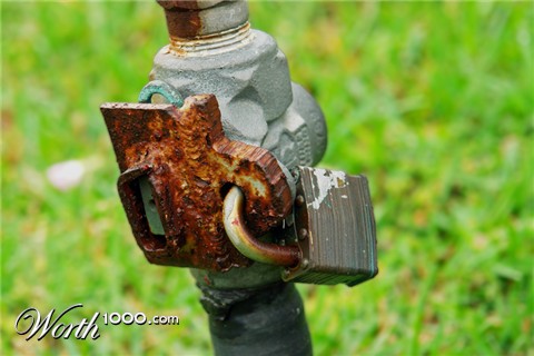 Photography by evitigre