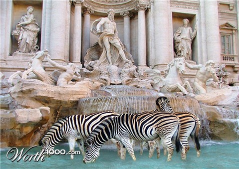 Photoshop Design by snakebit