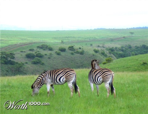 Photoshop Design by kathiess