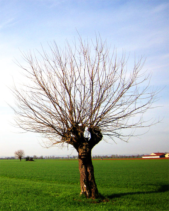 Photoshop Design by AUGUST for DesignCrowd (Community Contests) | Design #8940765