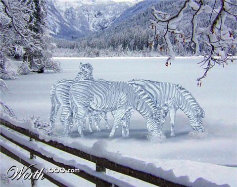 Photoshop Design by websuz