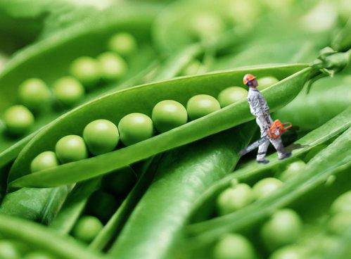 Photoshop-Design von pochiex2 für DesignCrowd (Community Contests) | Design #8939832