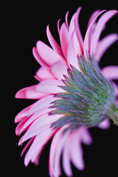 Photography by josephzl