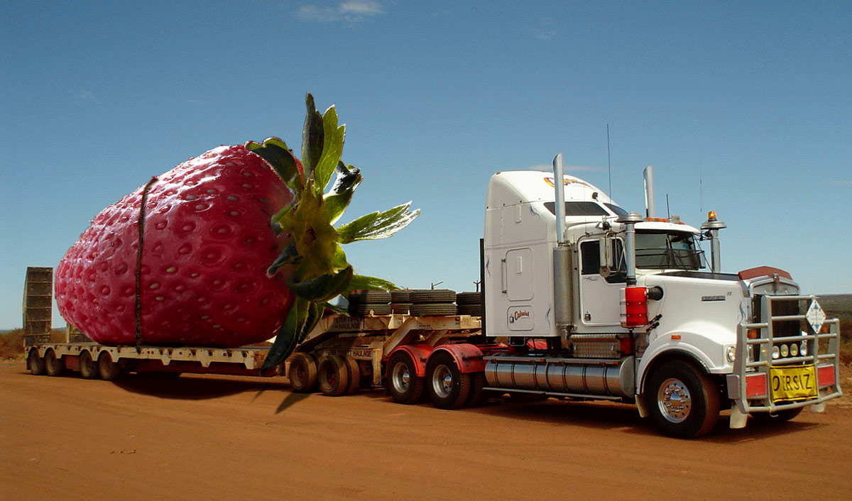 Photoshop Design by underworth for DesignCrowd (Community Contests) | Design #8939785