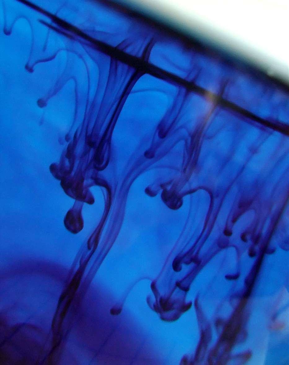 Photography by shellyrae1 for DesignCrowd (Community Contests) | Design #8937787