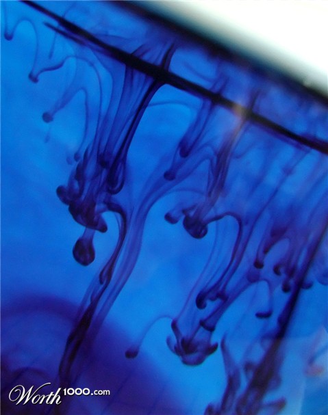 Photography by shellyrae1