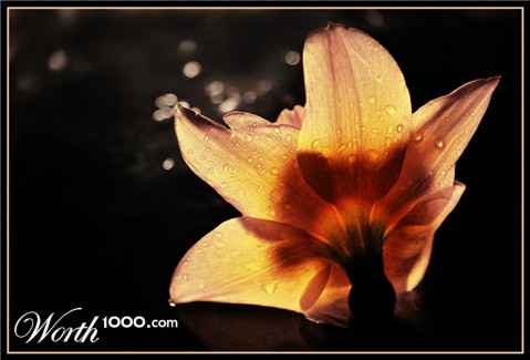 Photography by Kreative