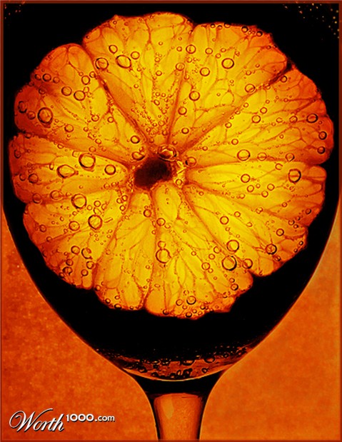 Photography by Rhiannonsmommy