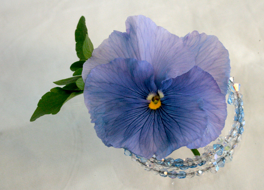 Photographie par rebeccatroy pour DesignCrowd (Community Contests) | Design #8937773