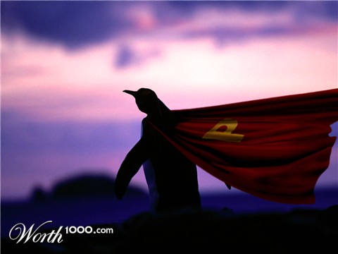 Photoshop Design by S J North